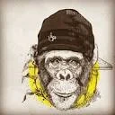 Primal Herb Coupon Codes